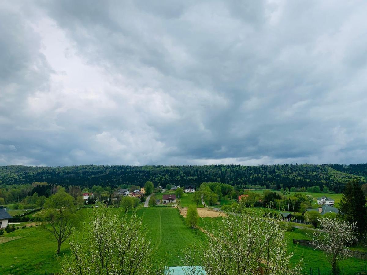 Apartamenty Rownia 2 Ustrzyki Dolne Exteriér fotografie